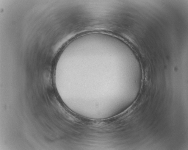 X0000053091452200508012020