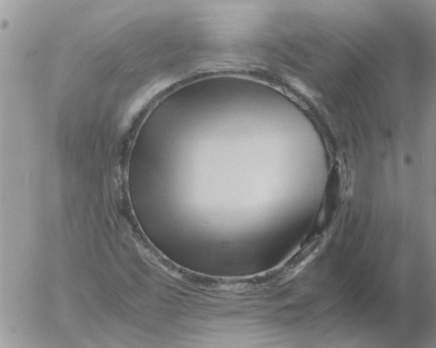 X0000053091453200508012020