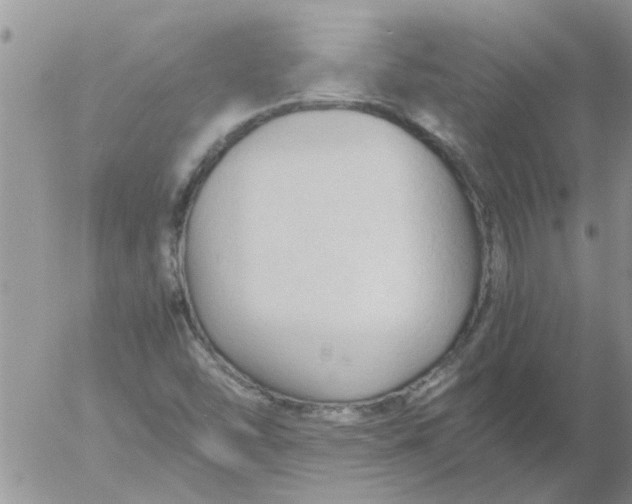 X0000053091454200508012020