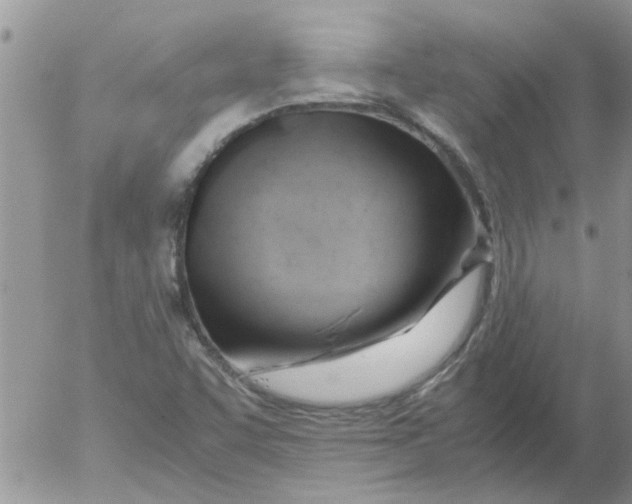 X0000053091455200508012020