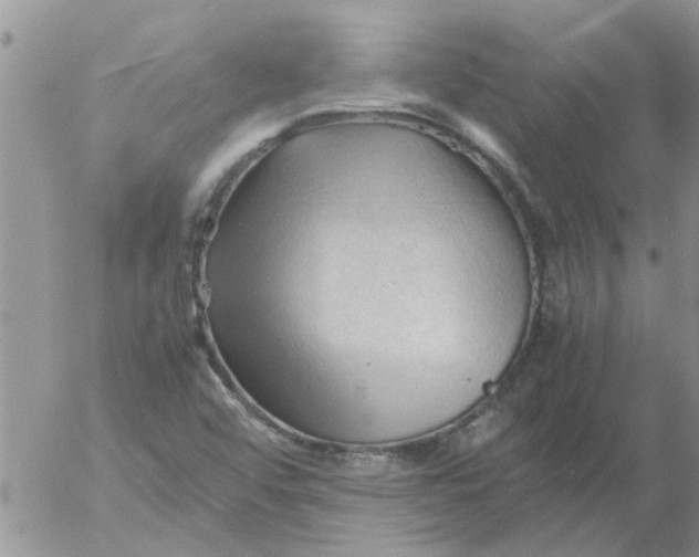 X0000053091456200508012020