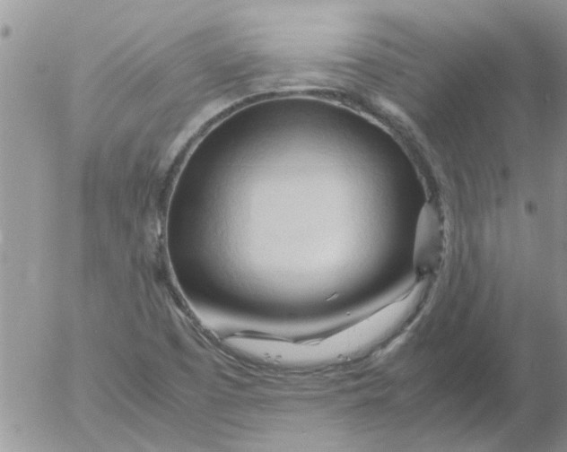 X0000053091457200508012020