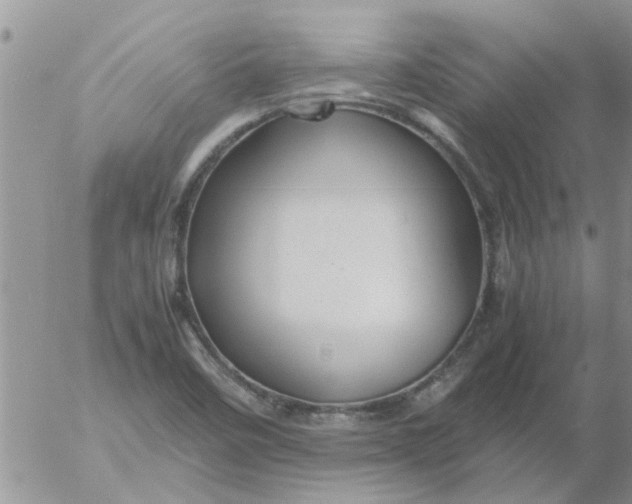 X0000053091458200508012020