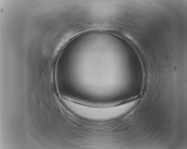 X0000053091459200508012020