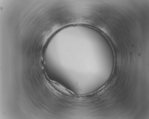 X0000053091460200508012020