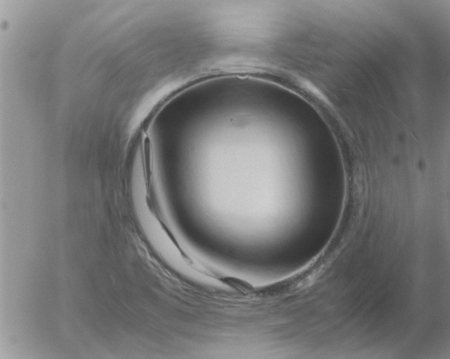 X0000053091461200508012020