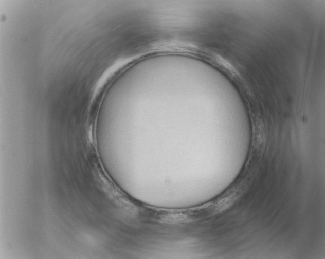 X0000053091462200508012020