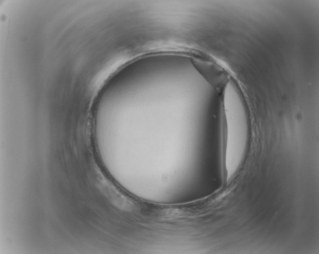 X0000053091463200508012020