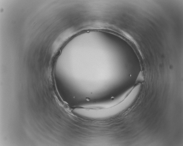 X0000053091464200508012020