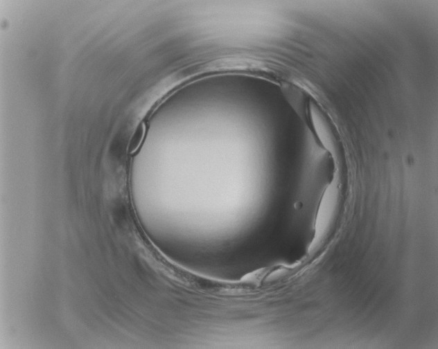 X0000053091465200508012020