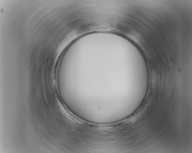 X0000053091466200508012020