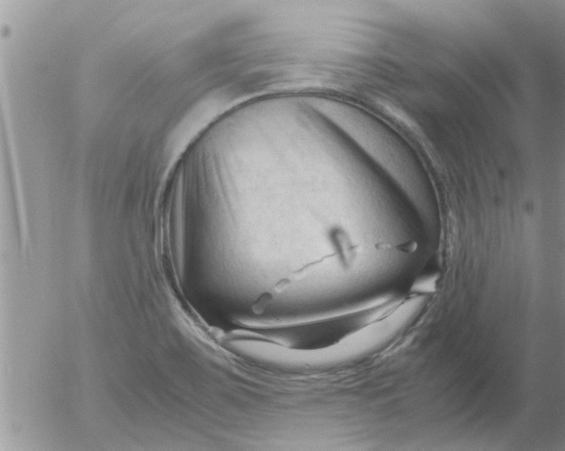 X0000053091467200508012019