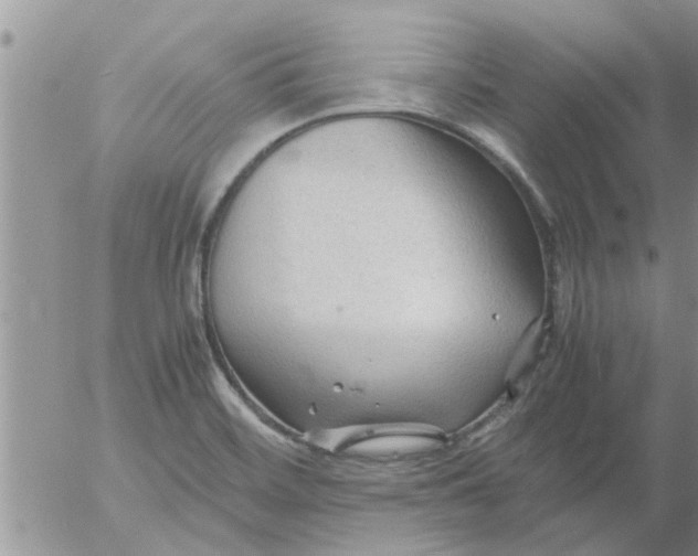 X0000053091468200508012019