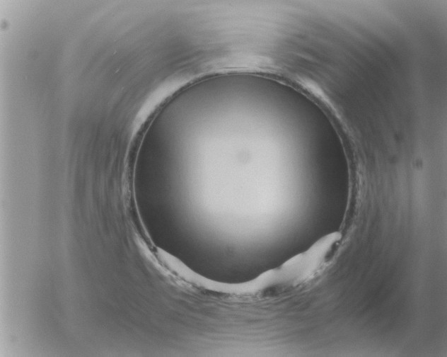 X0000053091469200508012019