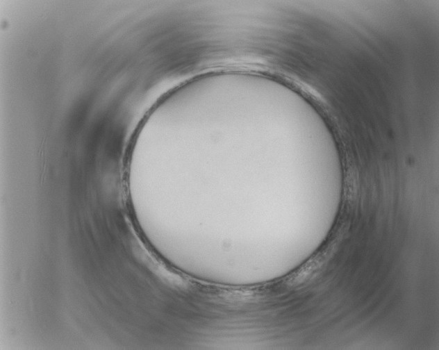 X0000053091470200508012019