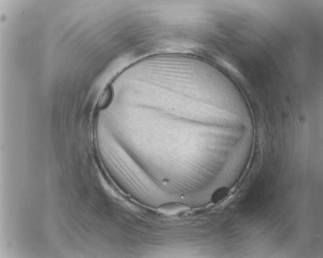 X0000053091471200508012019