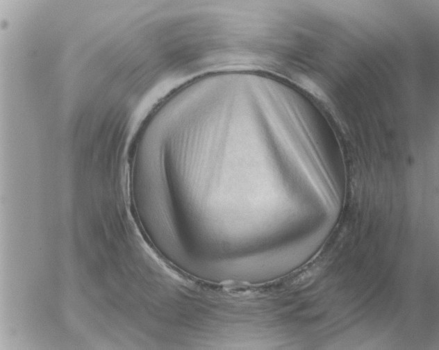 X0000053091472200508012019