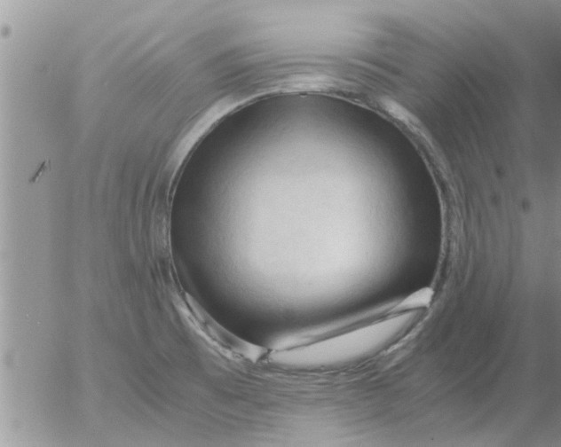 X0000053091473200508012019