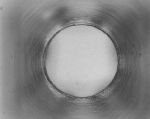 X0000053091474200508012019