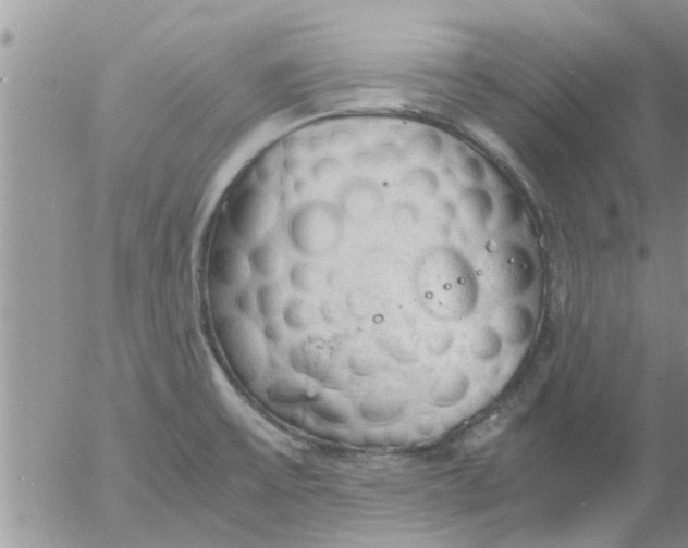 X0000053091475200508012019