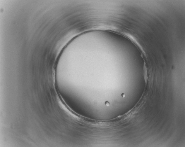 X0000053091476200508012019