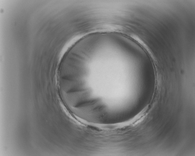 X0000053091477200508012019