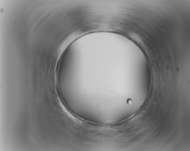 X0000053091479200508012019