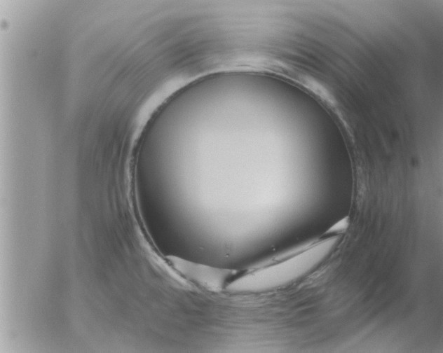 X0000053091480200508012019