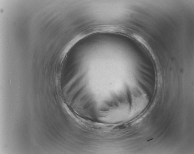 X0000053091481200508012019