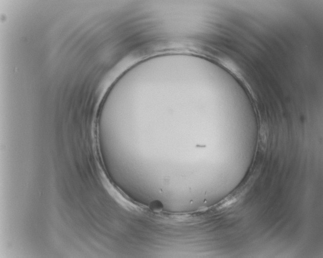 X0000053091482200508012019