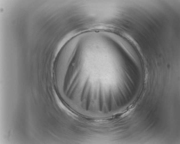 X0000053091483200508012019