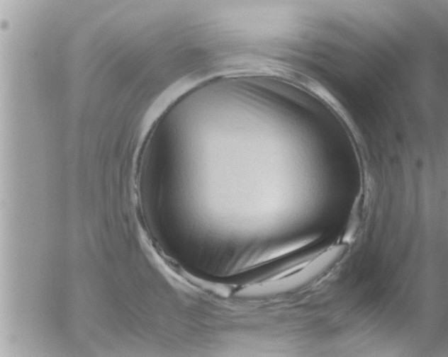 X0000053091485200508012019