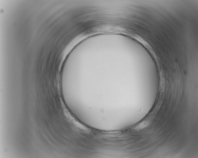 X0000053091486200508012019