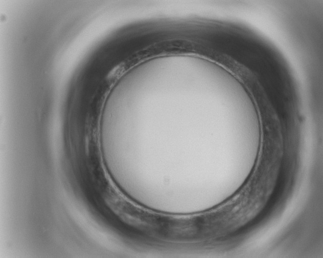 X0000053091487200508012019