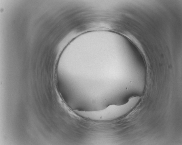 X0000053091488200508012019