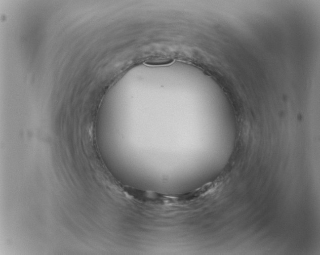 X0000053091489200508012018