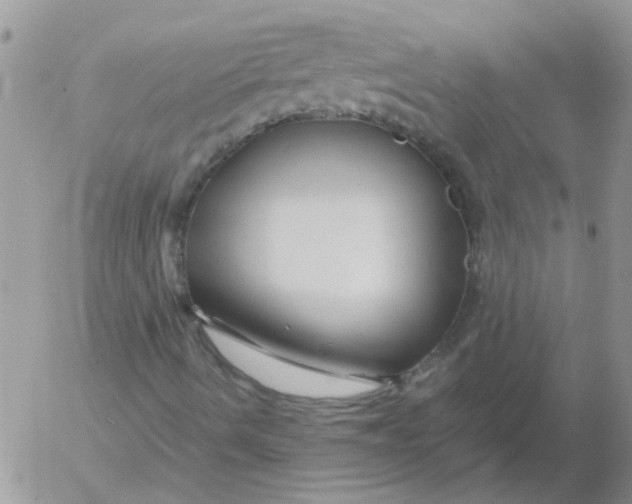 X0000053091490200508012018