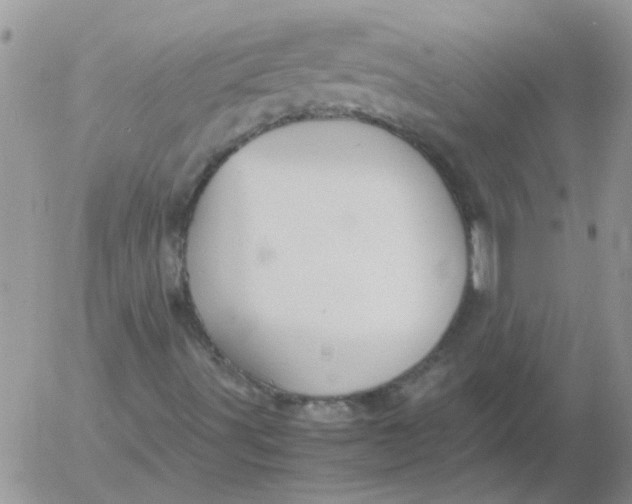 X0000053091491200508012018