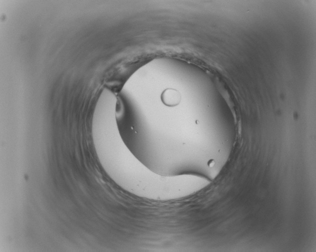 X0000053091492200508012018