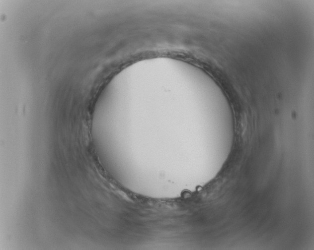 X0000053091493200508012018