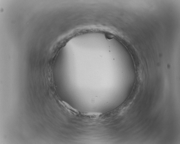 X0000053091494200508012018