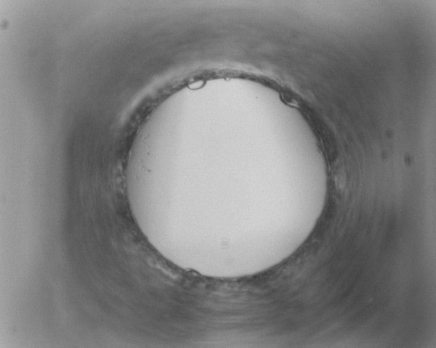 X0000053091495200508012018