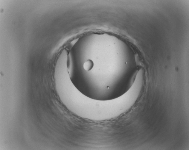 X0000053091496200508012018