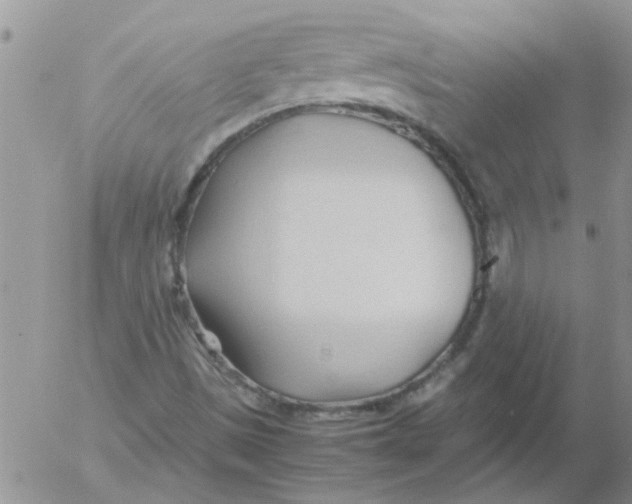 X0000053091497200508012018