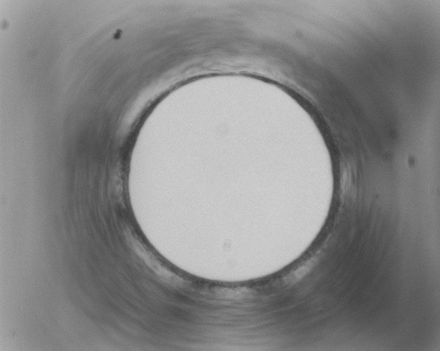 X0000053091498200508012018