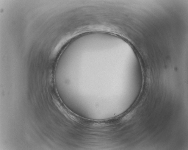 X0000053091499200508012018