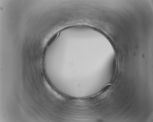 X0000053091500200508012019