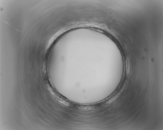 X0000053091501200508012019