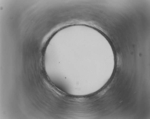 X0000053091502200508012019