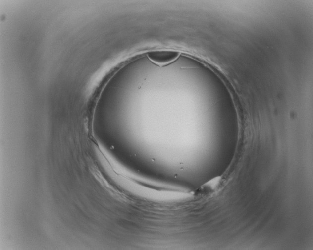 X0000053091503200508012019